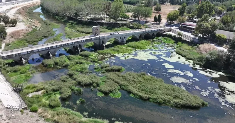 Edirne de kuraklık alarmı! Tunca Nehri ni otlar kapladı