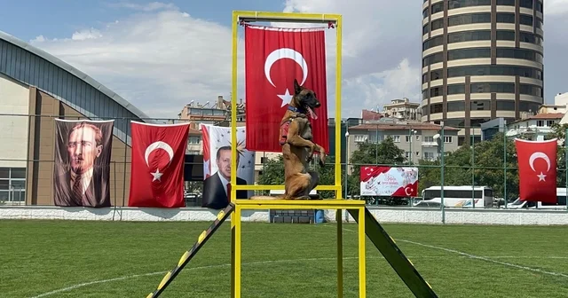 Nevşehir de 30 Ağustos Zafer Bayramı kutlamaları; JAKEM in eğitimli köpeklerinin gösterisi ilgi topladı Nevşehir Haberleri