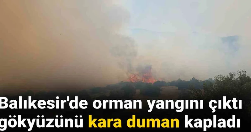 Balıkesir de orman yangını: Gökyüzünü duman kapladı
