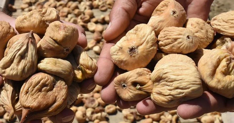 Tariş, kuru incir alım fiyatlarını açıkladı!