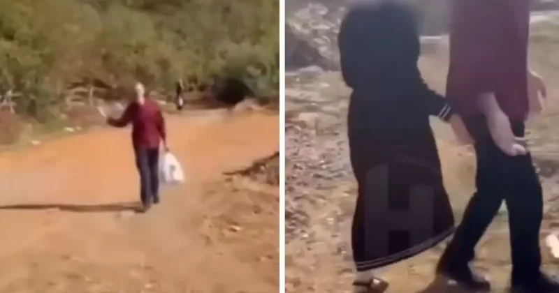 2 çanta dolusu fındığa koydukları para olay! Üretici deliye döndü