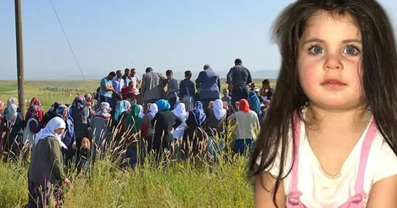 Leyla yı arayan AFAD üyelerine rüşvet soruşturması