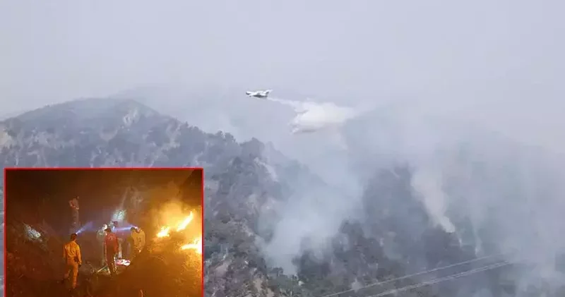 Aydın da orman yangını 2 nci gününde