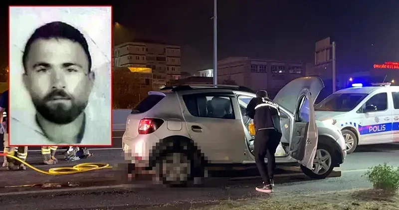Yol ortasına otururken otomobil çarptı; kurtarılamadı