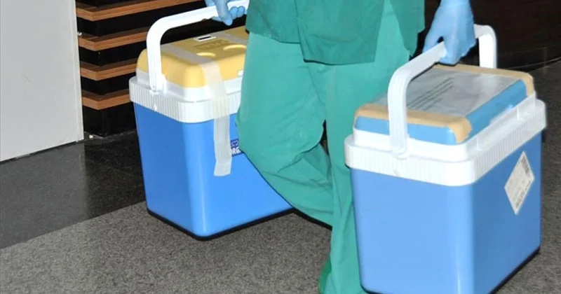 Beyin ölümü gerçekleşen kadının organları 3 kişiye umut oldu