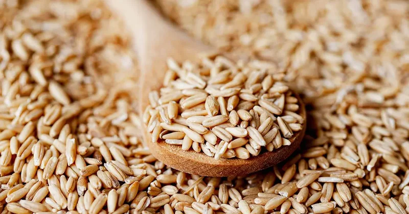1 kaşık bile enerjiyi yükseğe çıkarıyor! Bağışıklık güçlendirici besin...