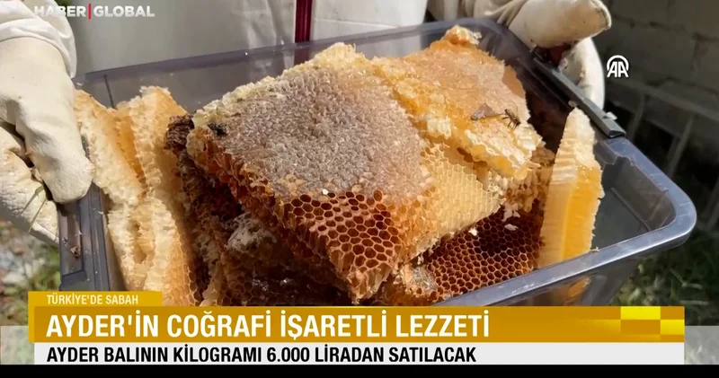 Ayder in coğrafi işaretli lezzeti 6 bin alıcı bulacak