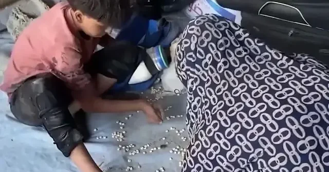 Gazzeli aile bombalanan evlerinde kalan son bakliyatları topladı VİDEO İZLE