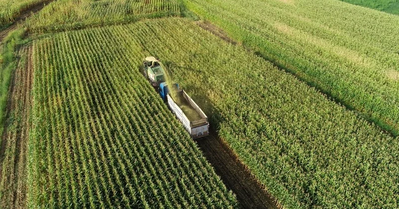 Tarım ve kırsal kalkınmada 10 uncu başvuru çağrı ilanı yayımlandı