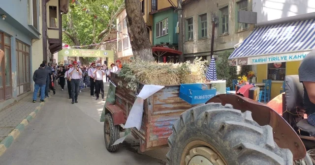 Tirilye de Zeytin Çiçeği Festivali başladı Bursa Haberleri