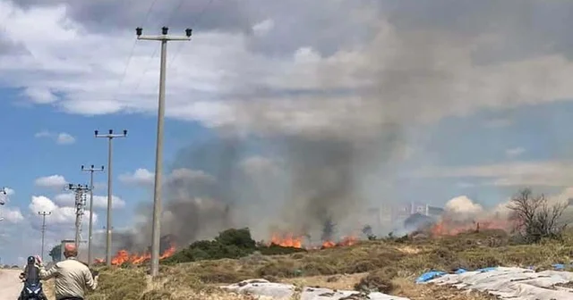 Çanakkale de otluk yangını Çanakkale Haberleri