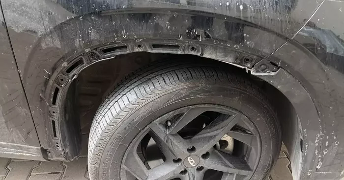 Sahipsiz köpek sürüsü park halindeki araca saldırarak zarar verdi