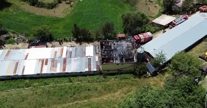 Tavuk çiftliğinde yangın: Binlerce hayvan telef olmaktan son anda kurtarıldı