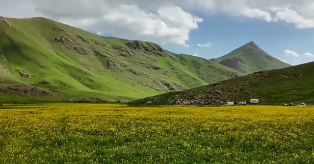 Faraşin Yaylası büyülüyor: Doğanın kalbinde serin bir kaçış noktası VİDEO İZLE