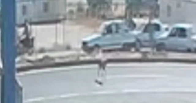 Şanlurfa da sahipsiz köpek zincirleme kazaya neden oldu VİDEO İZLE