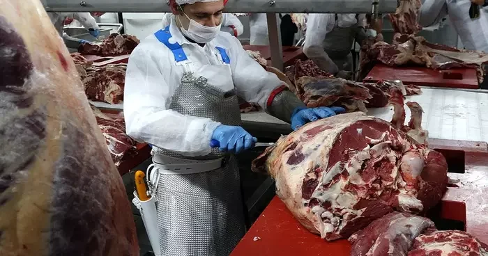 Bayram yaklaşıyor: Sadece kurban eti ile kahvaltı yapmayın! En sağlıklı et; yağ oranı az, pembe ve parlak olan ettir