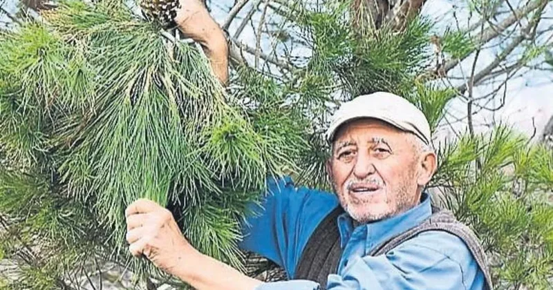 Türkiye’nin ‘orman dedesi’ne veda