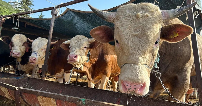 Erzincan’da kurban kesim yerleri açıklandı