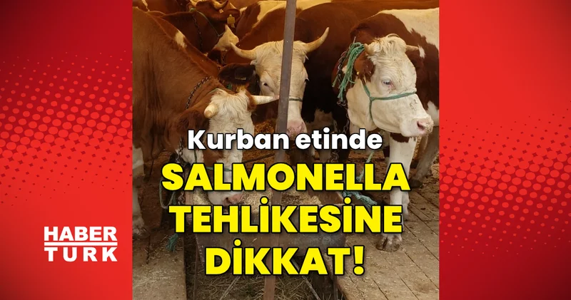 Kurban etinde salmonella bakterisi ne dikkat! Haberler Sağlık Haberleri