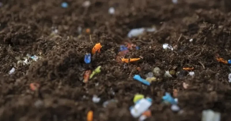 Salata değil, plastik yiyoruz! Tarım ürünlerindeki sessiz tehlike
