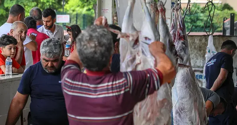 Kurban Bayramı yaklaşırken salmonella bakterisi ne dikkat
