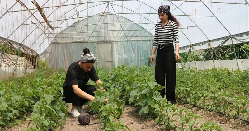 Biri 33 diğeri 24 yaşında! İki kuzen el ele verdi; hem paylaşıyorlar hem kazanıyorlar