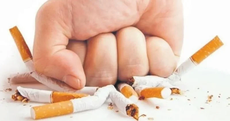 Türkiye’de her gün 300 kişiyi öldürüyor