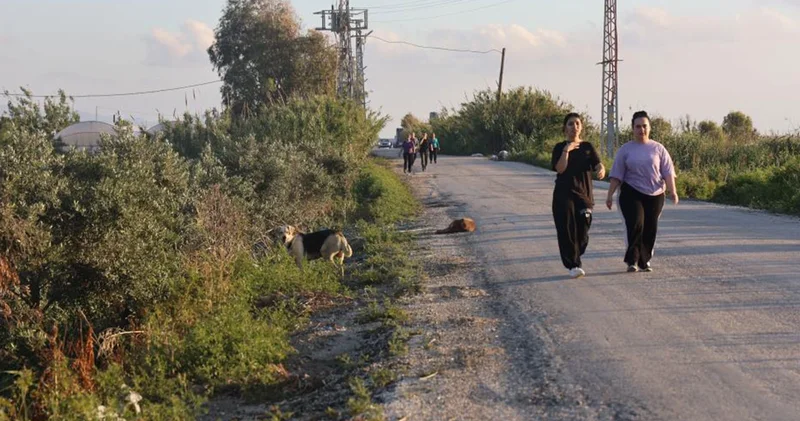 4 mahallede kuduz karantinası! Vatandaşlar tedirgin