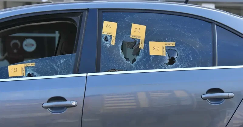 Cezaevi dönüşü 3 kişinin hayatını kaybettiği kanlı pusunun nedeni ortaya çıktı