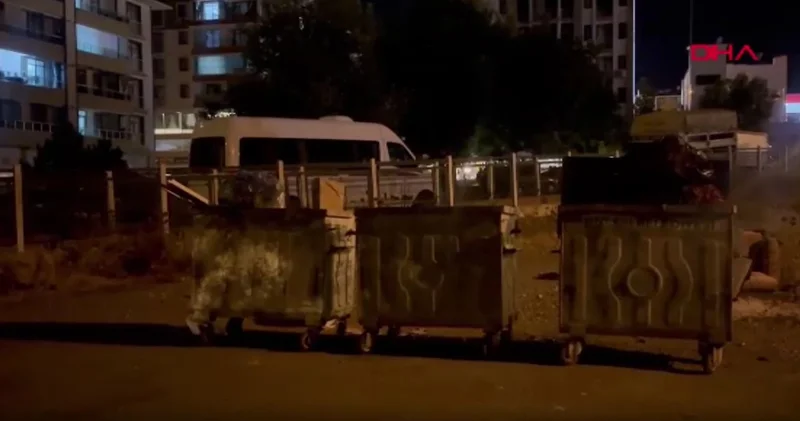Tunceli de kan donduran vahşet! Sokak kedisini katledip çöpe attı