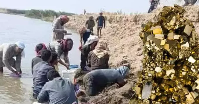 Fırat Nehri kenarında altın izdihamı! Sular çekilince ortaya çıktı