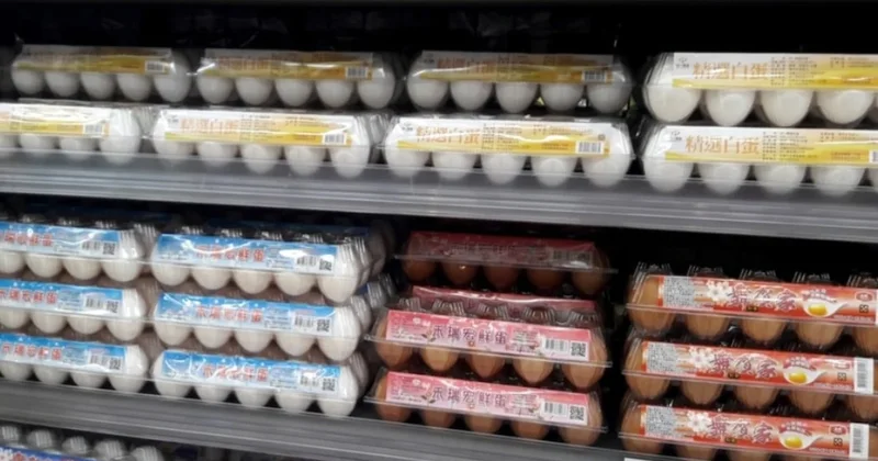 Yumurta satışında yeni dönem başladı, fiyatlar 170 liraya fırladı Sözcü Gazetesi
