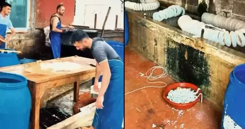 Ruhsatsız işletmede kilolarca paça ve bağırsak ele geçirildi