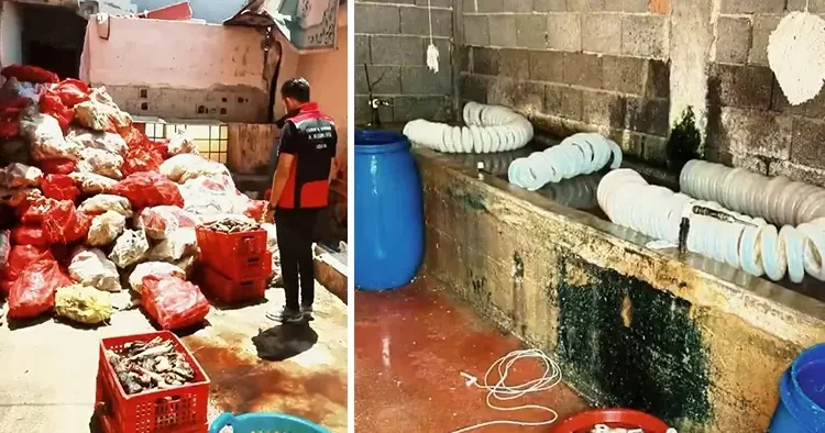 Çok sayıda kişi iştahla yiyor! İmalathanedeki görüntüler mide bulandırdı