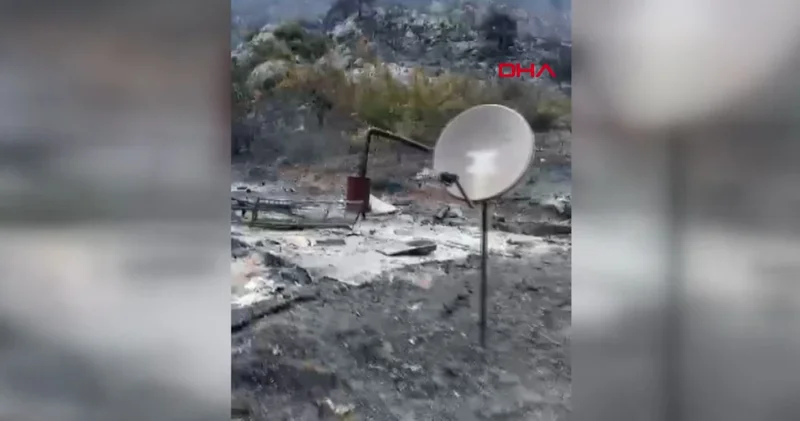 Yanan dağ evinden geriye onlar kaldı