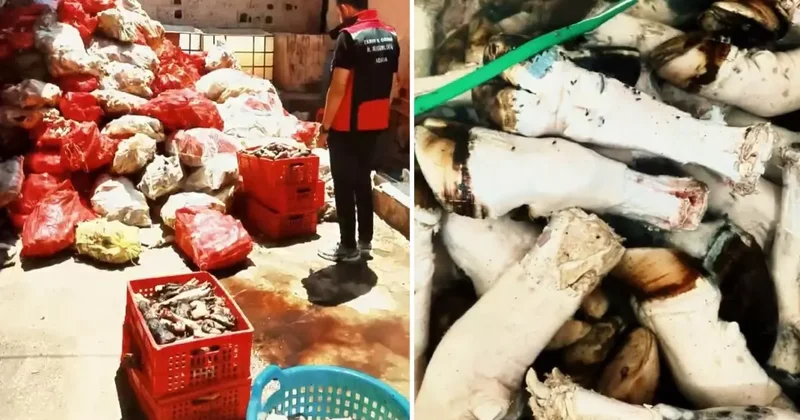 At ve eşek eti kullanımıyla gündeme gelen ilimizde bir skandal daha