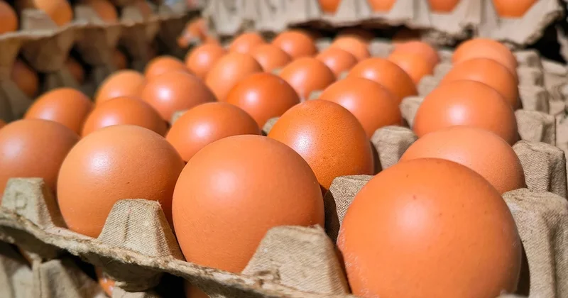 Ünlü market, yumurta satın alan herkese acil bir mesaj yolladı Sözcü Gazetesi