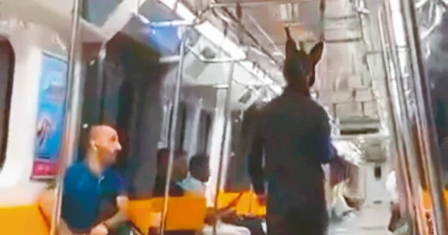 Metrodaki tüfekli tavşan yakalandı Yerel Gündem Haberleri