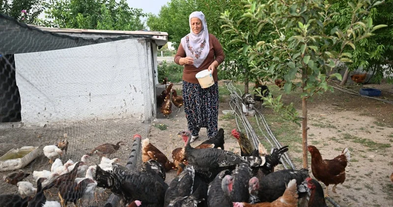 Osimhen in dönüşü Kayserili Neslihan teyzeyi çok sevindirdi: Tavukları satışa çıkardım