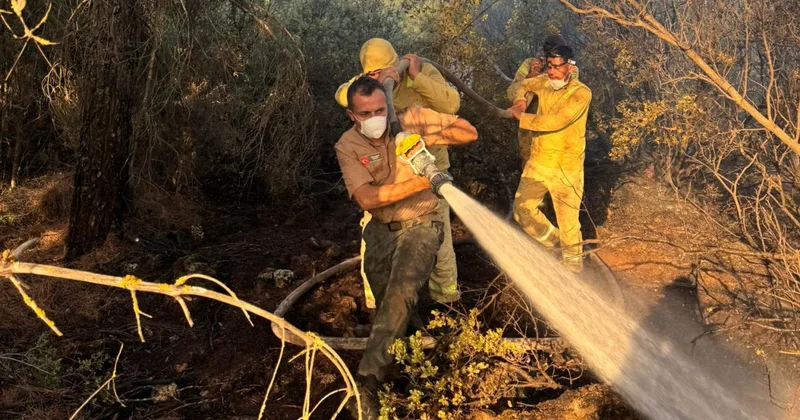 Denizli Tavas ta çıkan orman yangını söndürüldü