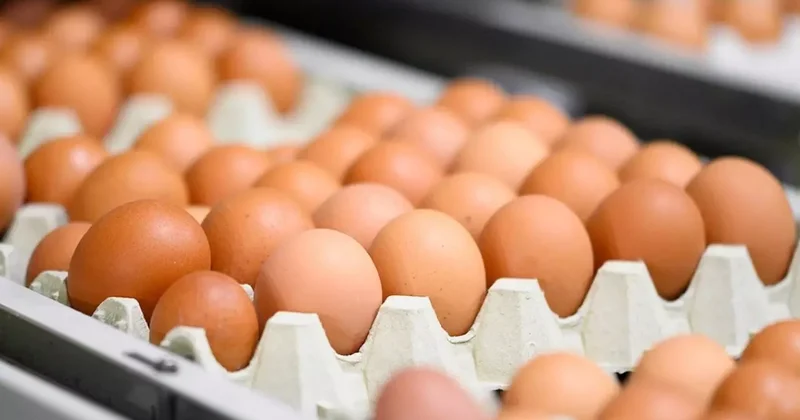 Fon kaldırıldı! Yumurta fiyatlarında ani yükseliş