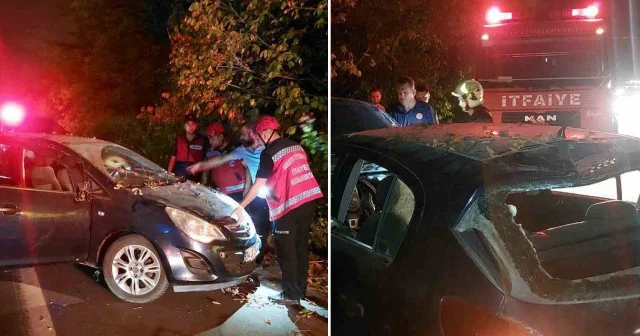 Sakarya D 140’da otomobil şarampole uçtu: Anne ve iki çocuğu yaralandı Sakarya Haberleri