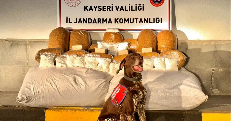 Kayseri de 450 kiloluk kaçak tütün ele geçirildi