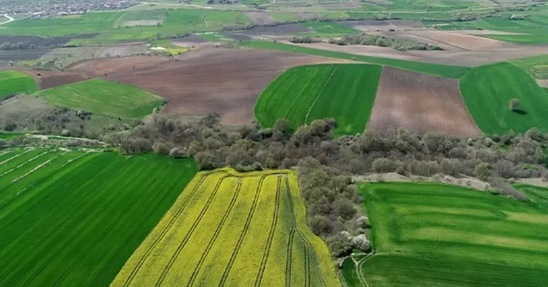 Tapu sahipleri dikkat! 45 gün süresi var: Bakanlık direkt kiraya verebilecek