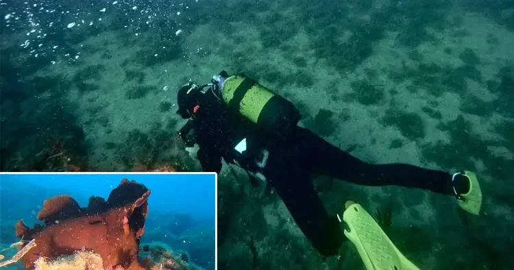 Saros Körfezi nde ikinci kez görüldü! Hayran kalmamak mümkün değil