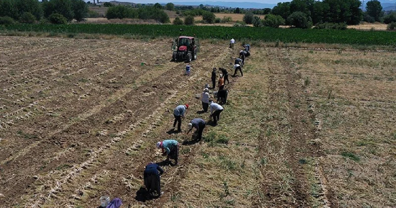 Devlet vatandaşa tarla kiralayacak Sözcü Gazetesi