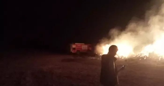 Erzurum’oa ot yangını