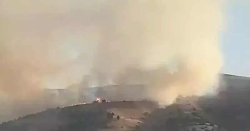 Sivas taki anız yangını ağaçlara sıçradı