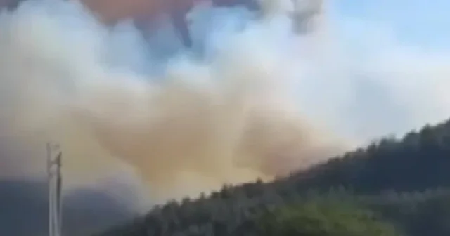 Safranbolu da çıkan orman yangına müdahale sürüyor VİDEO İZLE