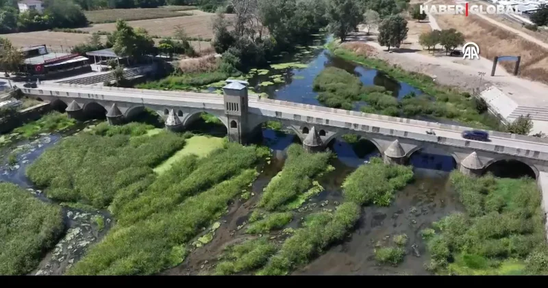 Tunca Nehri nde tedirgin eden görüntü: Ot öbekleriyle kaplandı